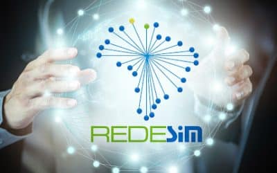 RedeSim: O que é, como funciona e como consultar protocolo DBE